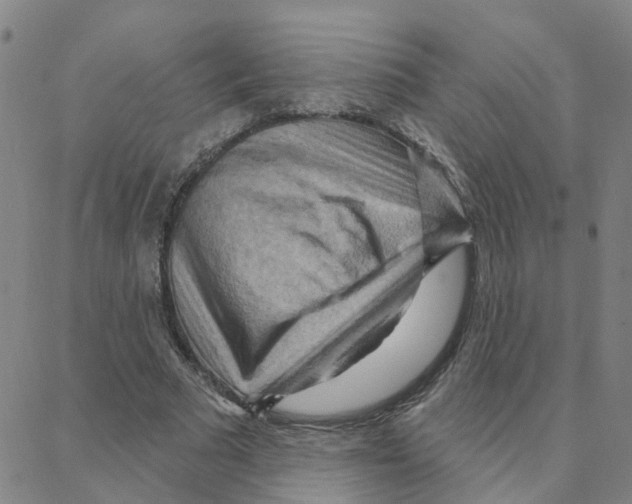 X0000088380681200706191308