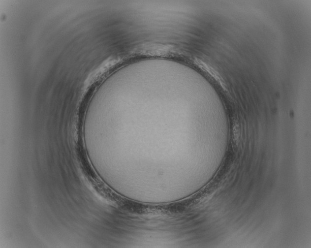 X0000088380682200706191308