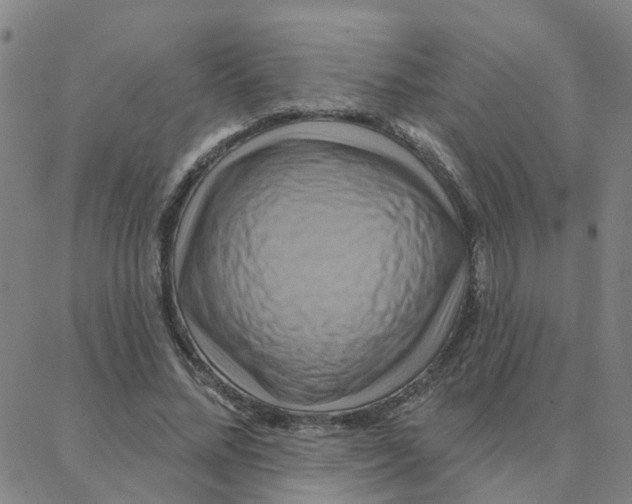 X0000088380684200706191308