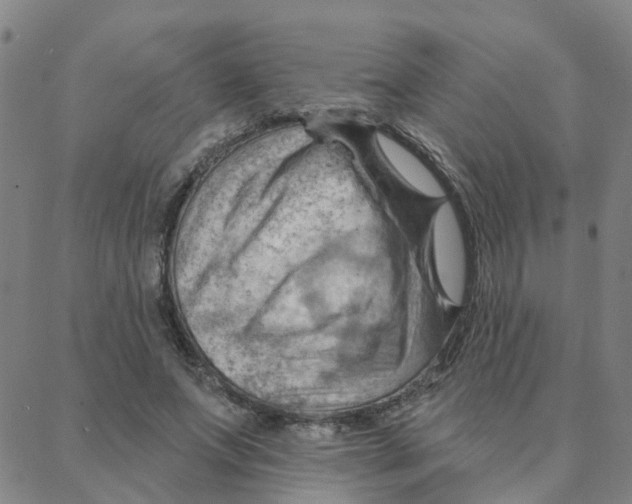 X0000088380687200706191308