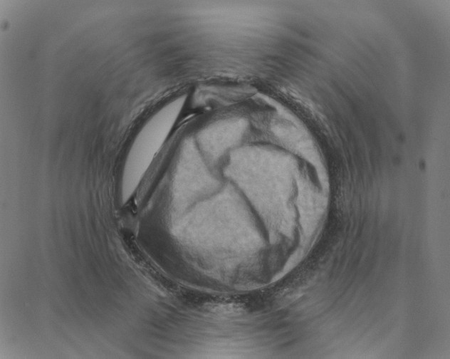 X0000088380689200706191308