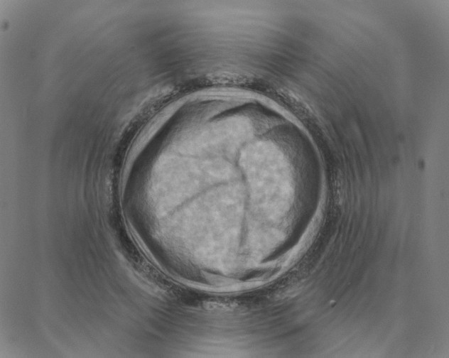 X0000088380690200706191308