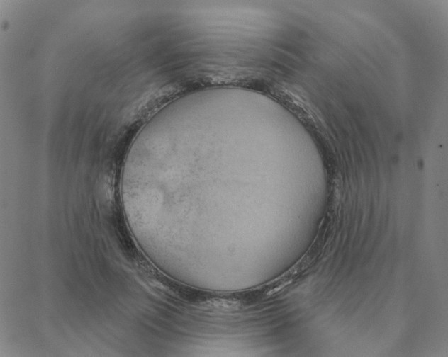 X0000088380691200706191308