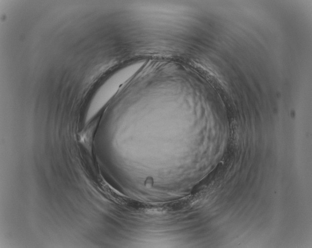 X0000088380692200706191308