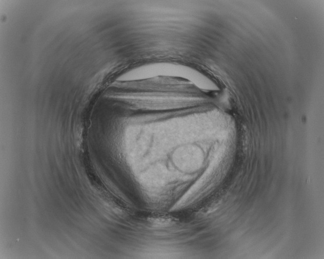 X0000088380693200706191308