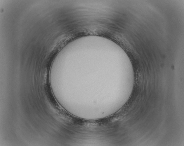 X0000088380694200706191308