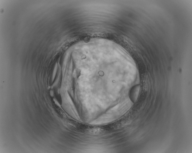 X0000088380695200706191308