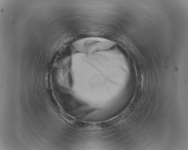 X0000088380696200706191308