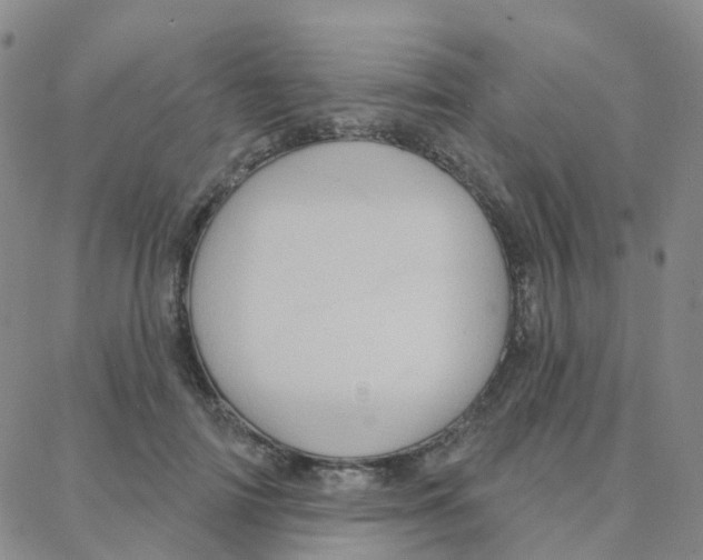 X0000088380698200706191308