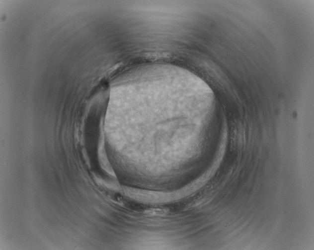 X0000088380700200706191308