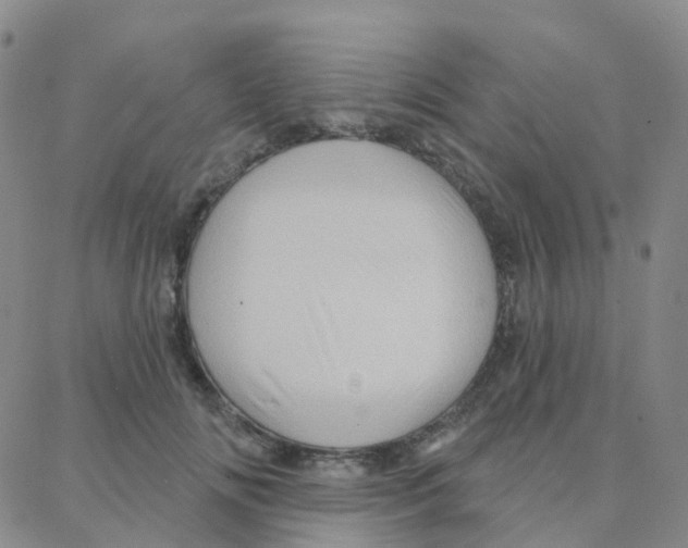 X0000088380702200706191308