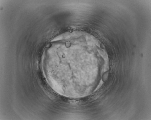 X0000088380703200706191308