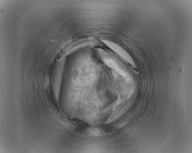 X0000088380704200706191308