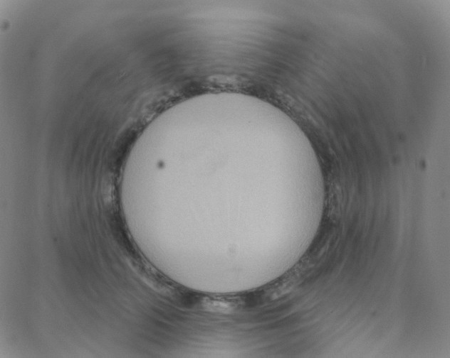 X0000088380706200706191308