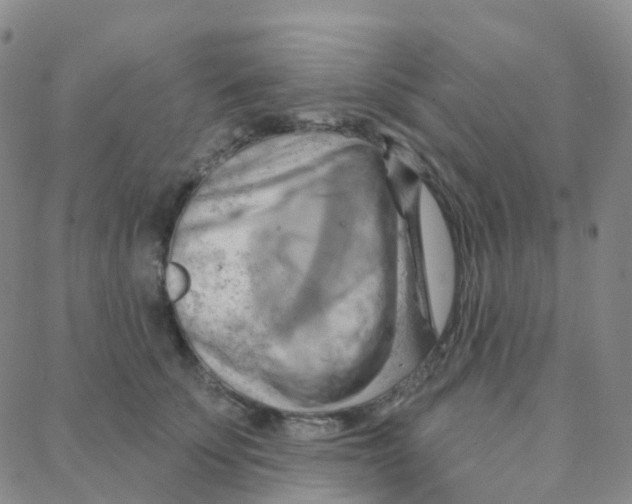 X0000088380707200706191308