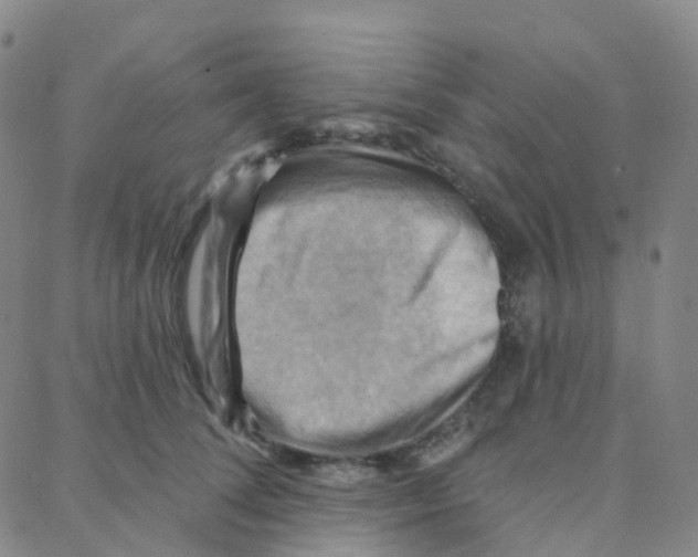 X0000088380708200706191308