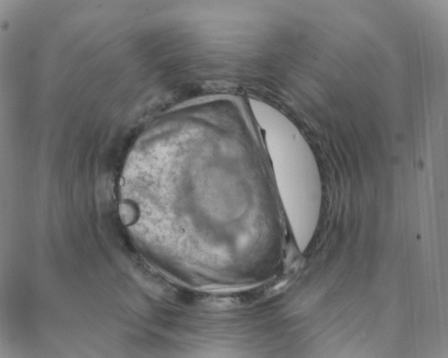 X0000088380711200706191308