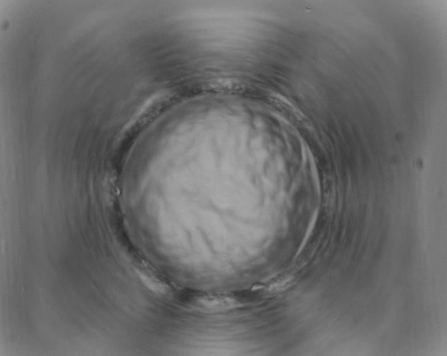 X0000088380712200706191308