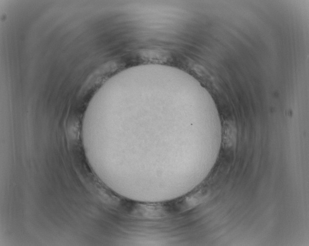 X0000088380713200706191308