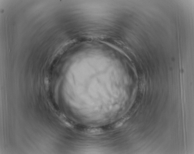 X0000088380716200706191308