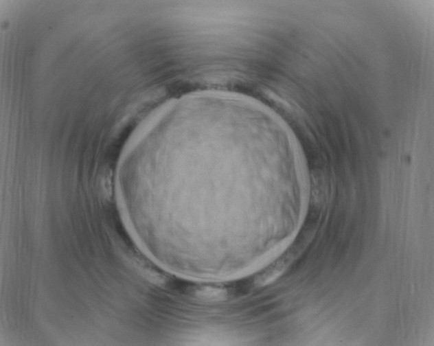 X0000088380718200706191308