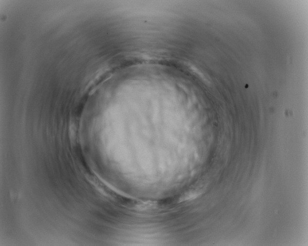 X0000088380720200706191308