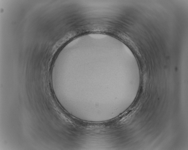 X0000088380721200706191307