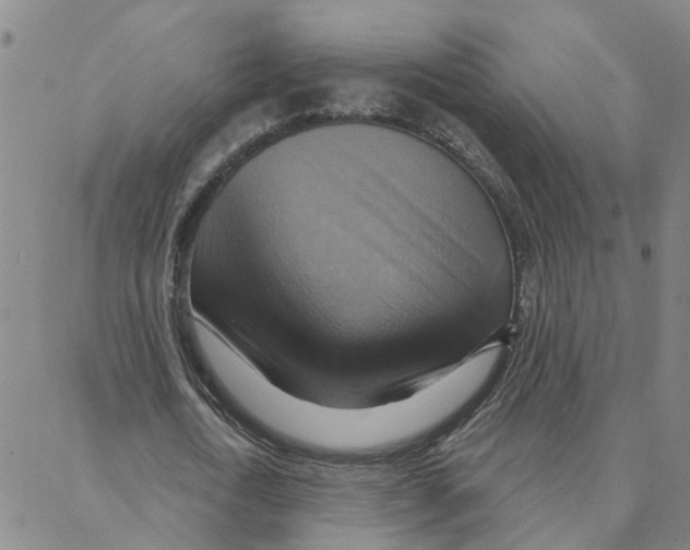 X0000088380722200706191307