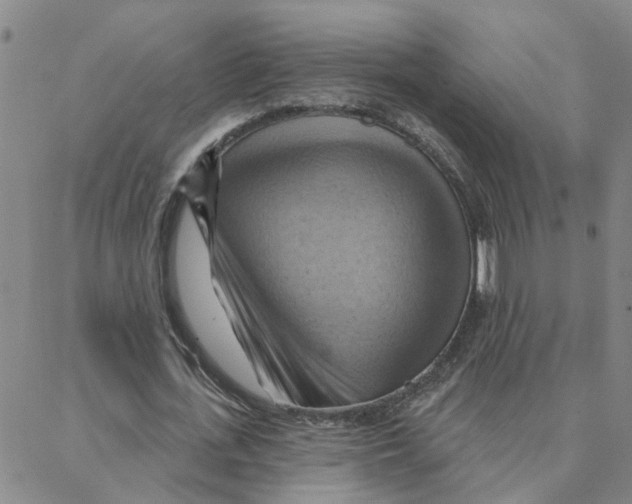 X0000088380723200706191307