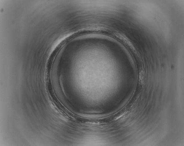 X0000088380724200706191307