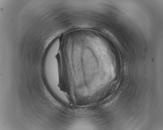 X0000088380725200706191307