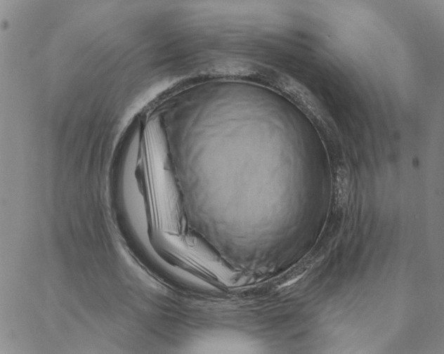 X0000088380726200706191307