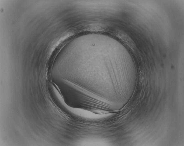 X0000088380727200706191307