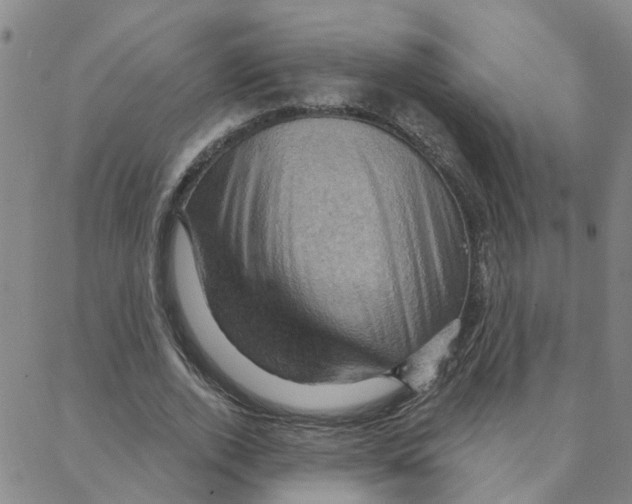 X0000088380728200706191307