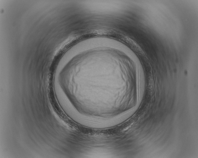 X0000088380730200706191307