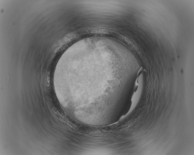 X0000088380731200706191307