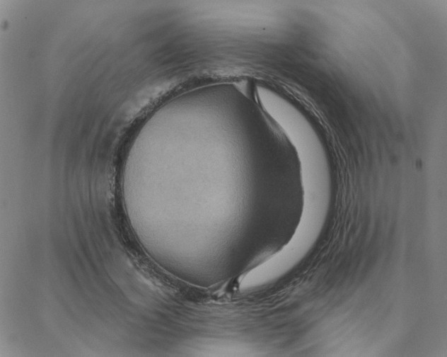 X0000088380732200706191307