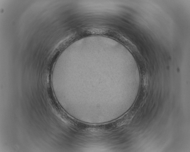 X0000088380733200706191307