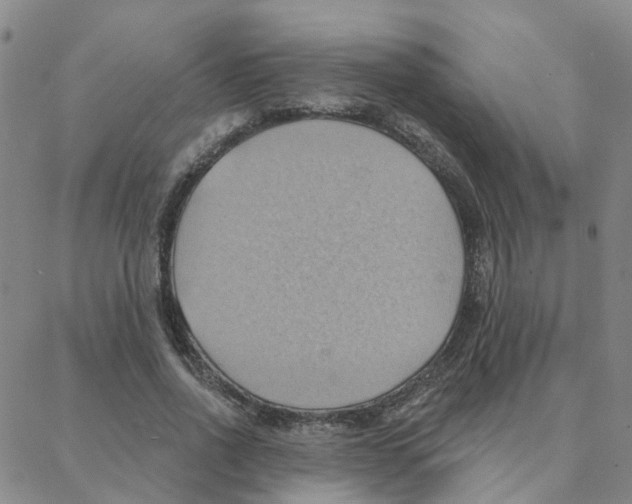 X0000088380734200706191307