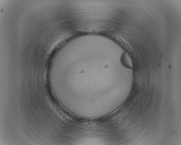 X0000088380735200706191307