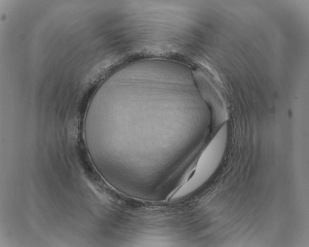 X0000088380736200706191307