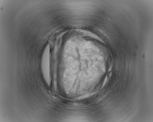 X0000088380737200706191307