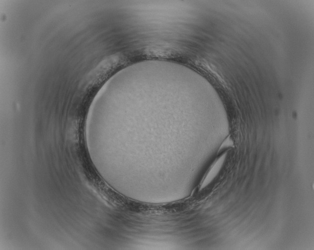 X0000088380738200706191307