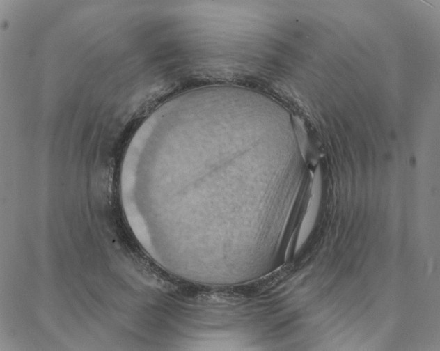 X0000088380739200706191307