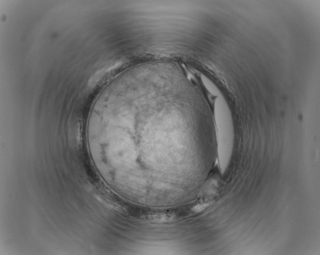 X0000088380740200706191307