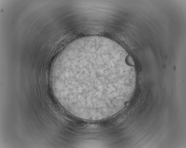 X0000088380741200706191307