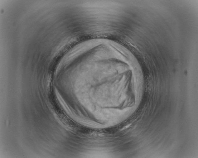 X0000088380742200706191307