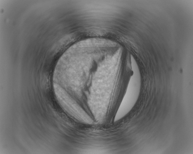 X0000088380743200706191307