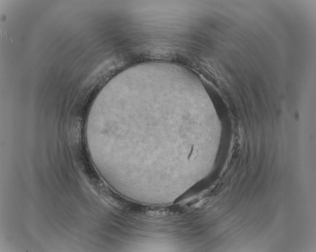 X0000088380744200706191307