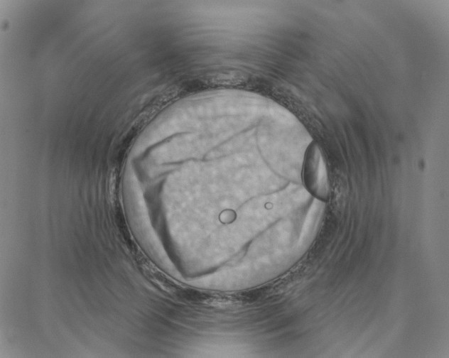 X0000088380745200706191307